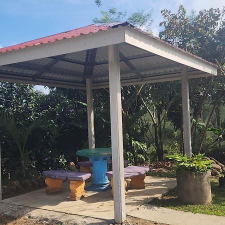 Cabinas El Pilon Rio Celeste Eksteriør billede