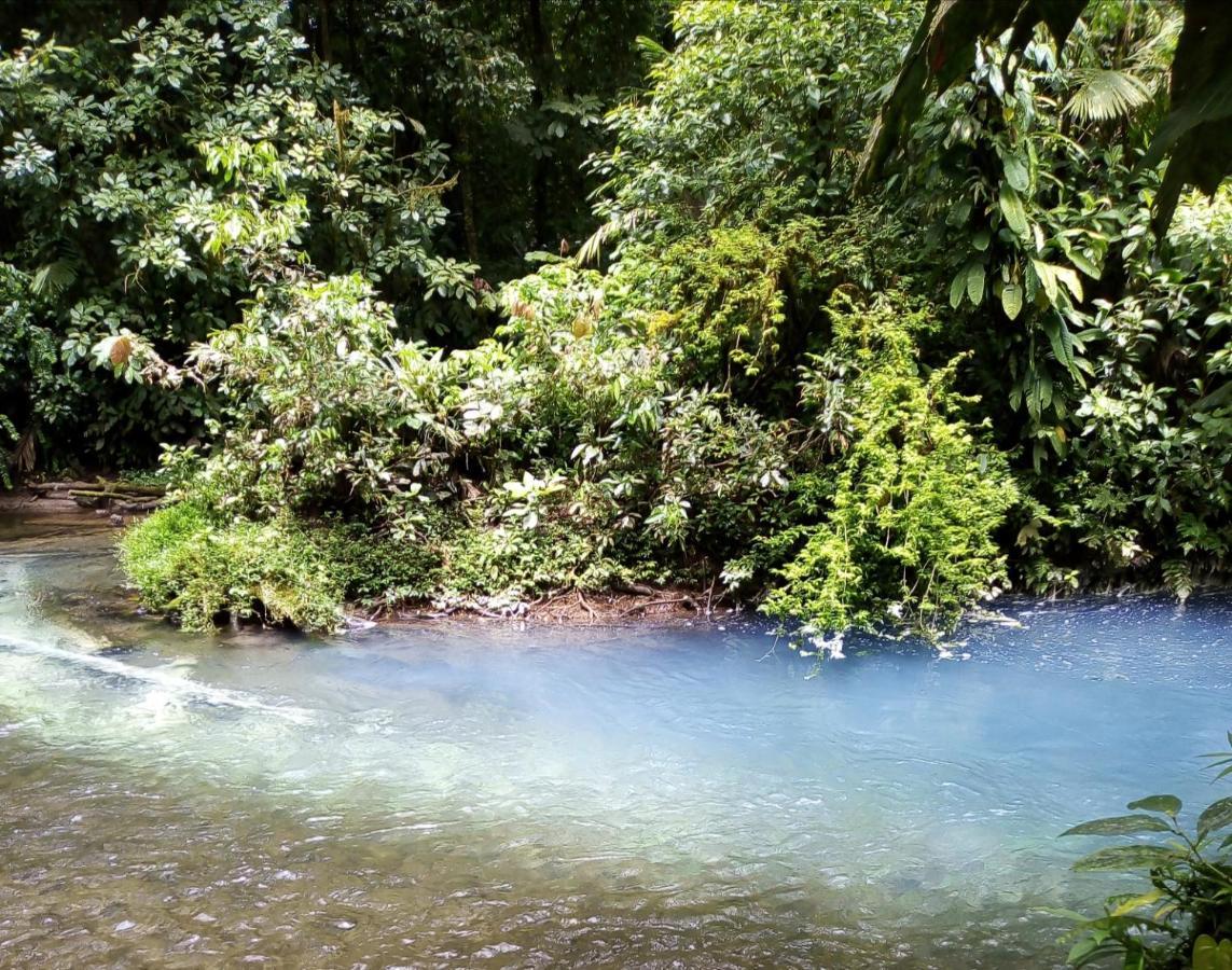 Cabinas El Pilon Rio Celeste Eksteriør billede