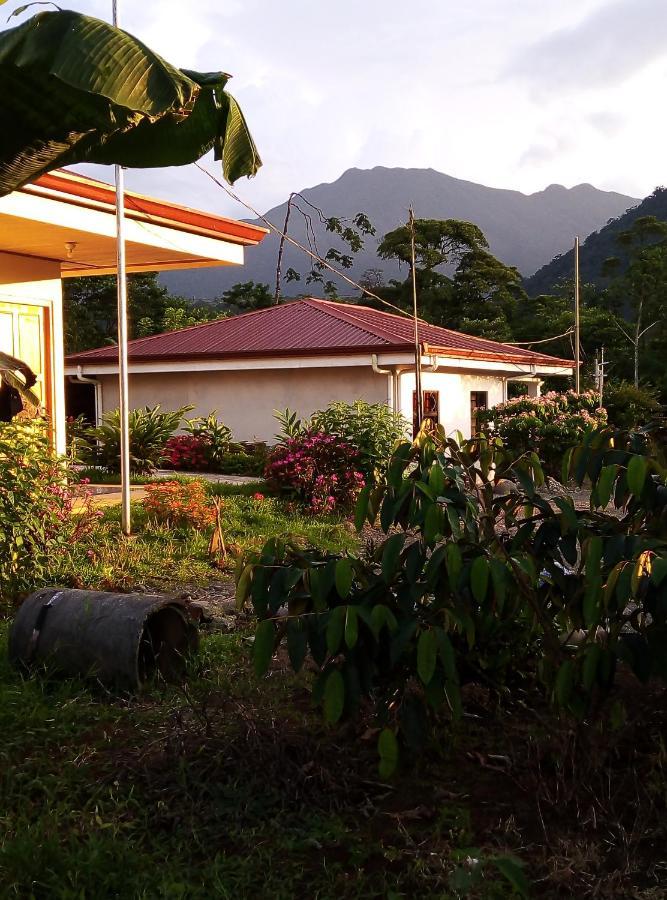 Cabinas El Pilon Rio Celeste Eksteriør billede