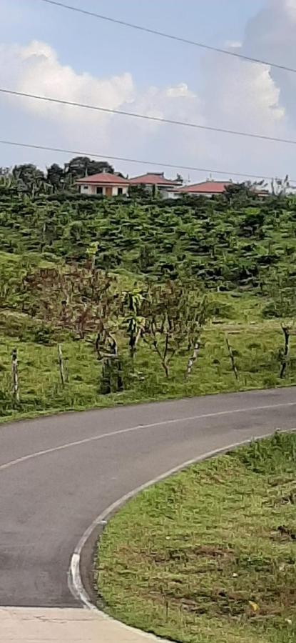 Cabinas El Pilon Rio Celeste Eksteriør billede