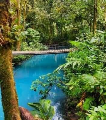 Cabinas El Pilon Rio Celeste Eksteriør billede