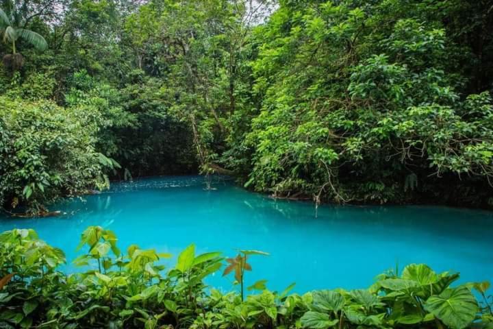 Cabinas El Pilon Rio Celeste Eksteriør billede