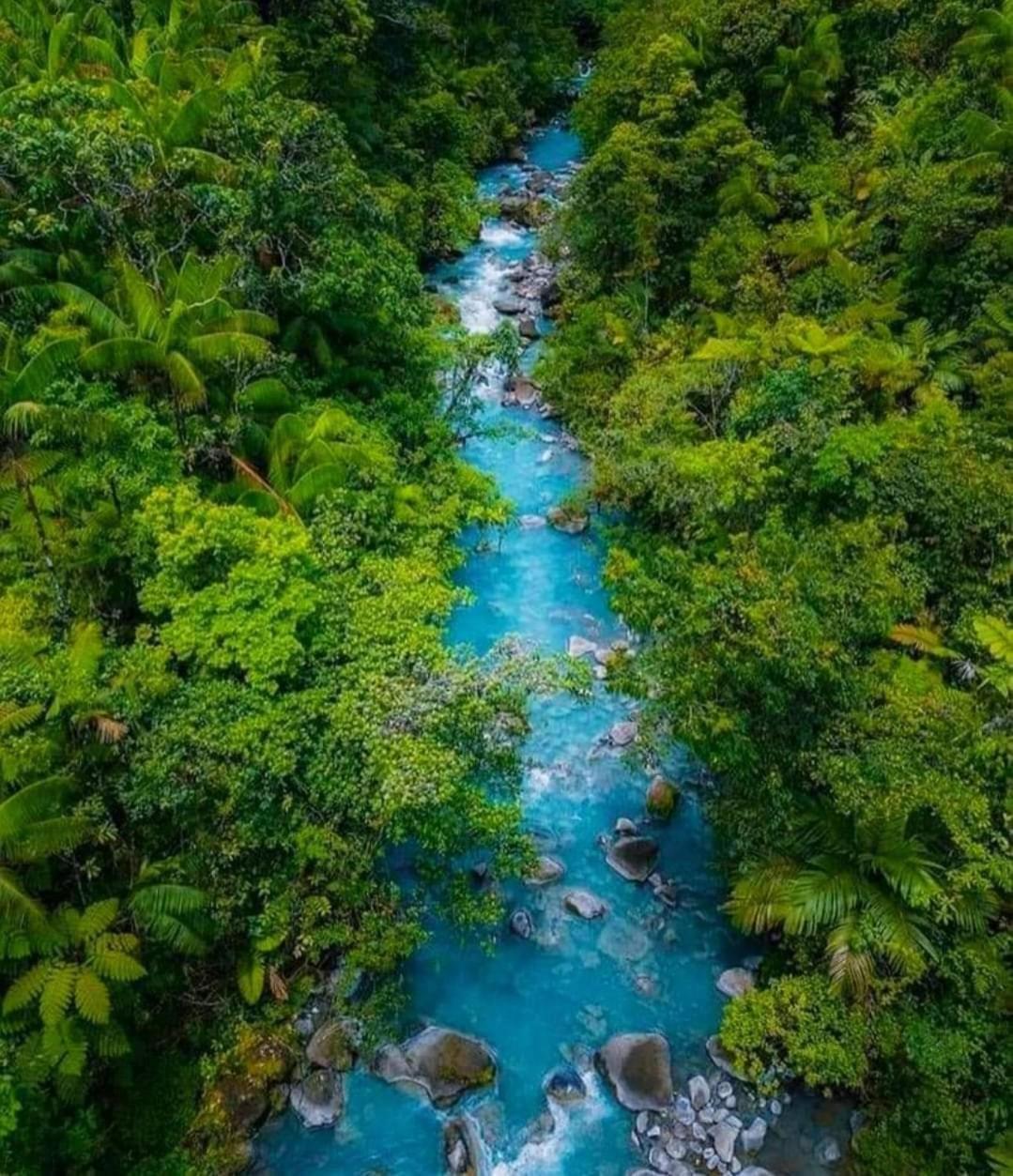 Cabinas El Pilon Rio Celeste Eksteriør billede