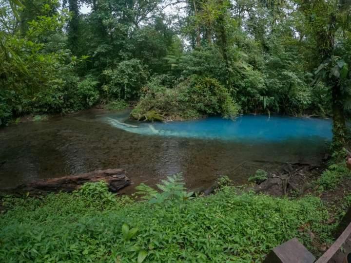 Cabinas El Pilon Rio Celeste Eksteriør billede